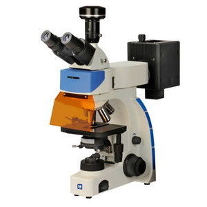 Microscópio de fluorescência IF-302 de Digitas Trinocular