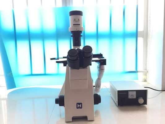Trinocular inverteu o microscópio biológico para a cultura celular da pesquisa